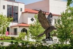 Photo of the hawk statue