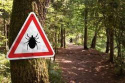 Sign warning of ticks in a forest setting